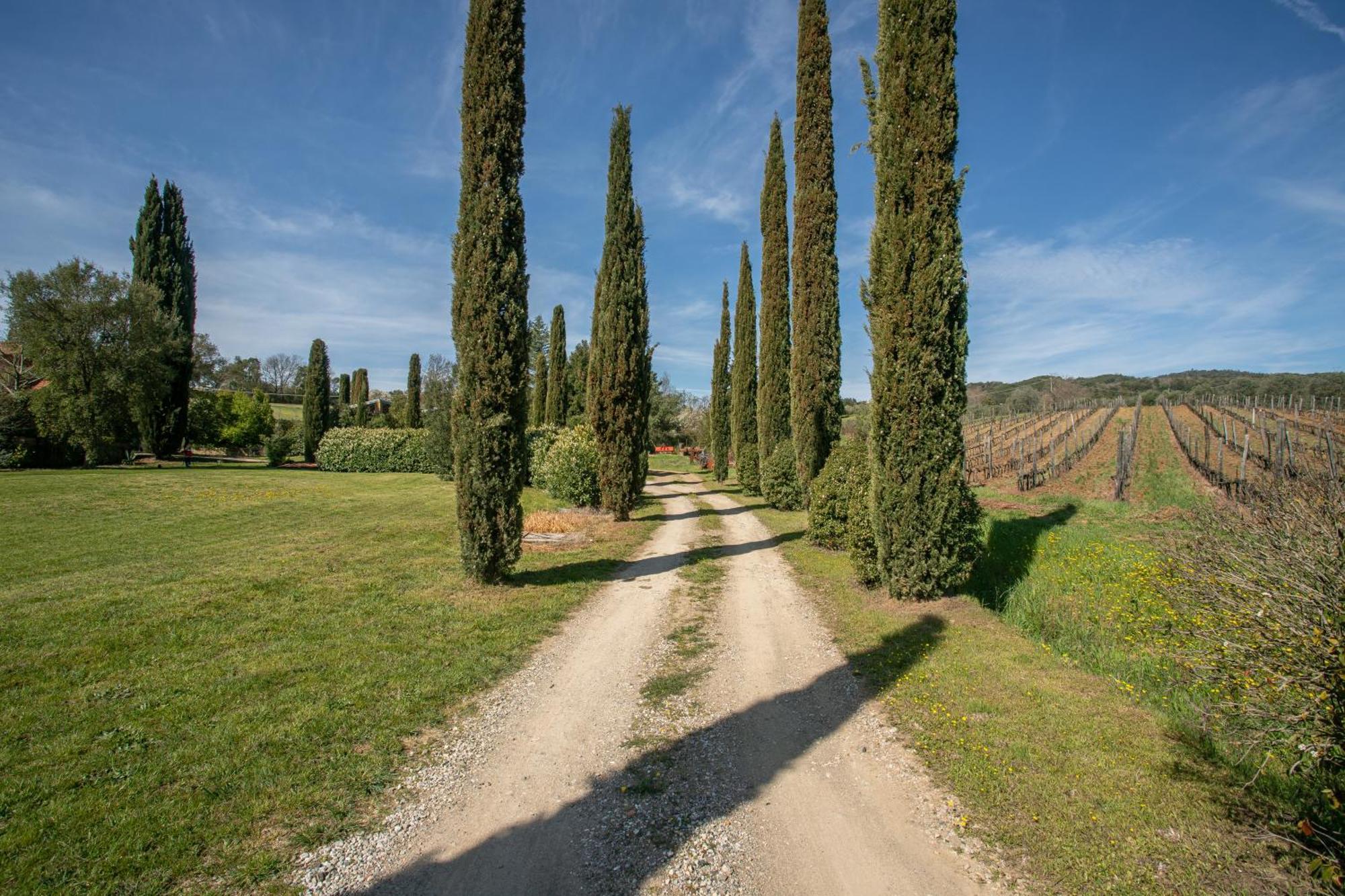 Casa Girasole Villa Roccastrada Luaran gambar